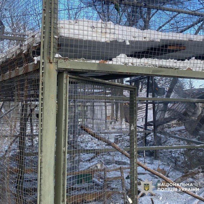 наслідки удару КАБом по екопарку в передмісті Харкова